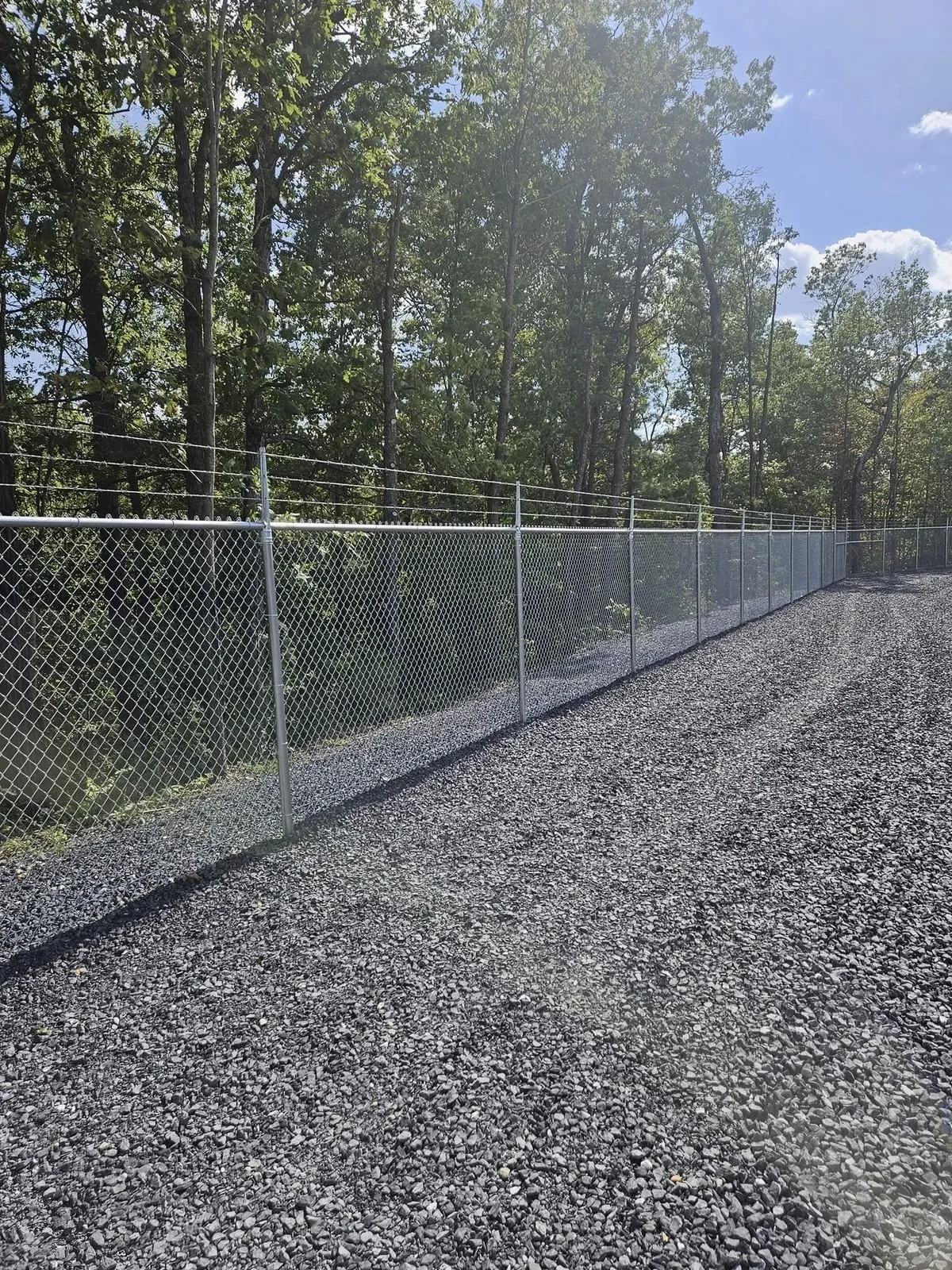 chain-link-fence-surrounded-by-trees-and-cedar-wood-pathway