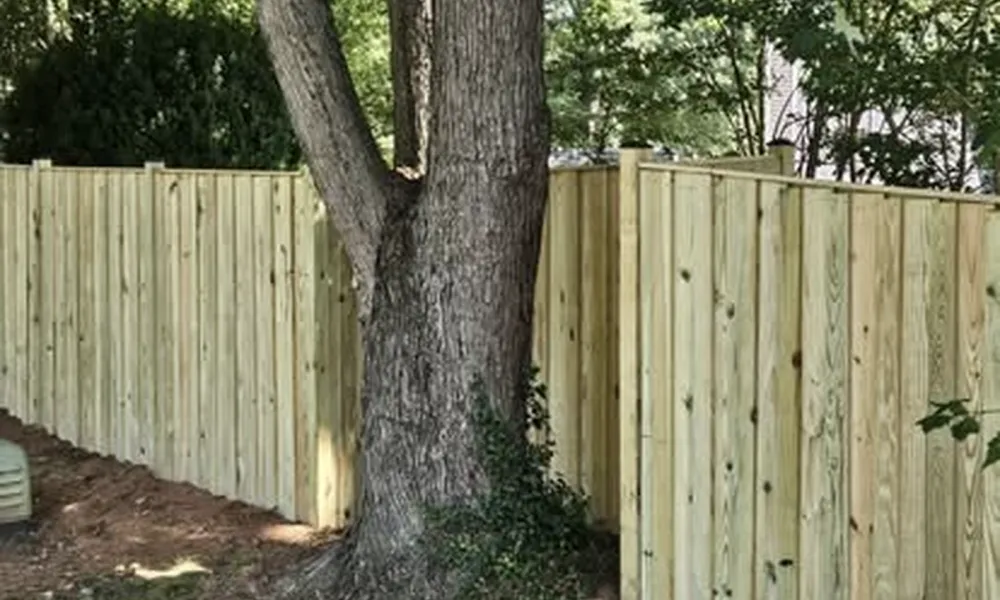 wood-fence-installation-in-winchester-near-large-tree-2023